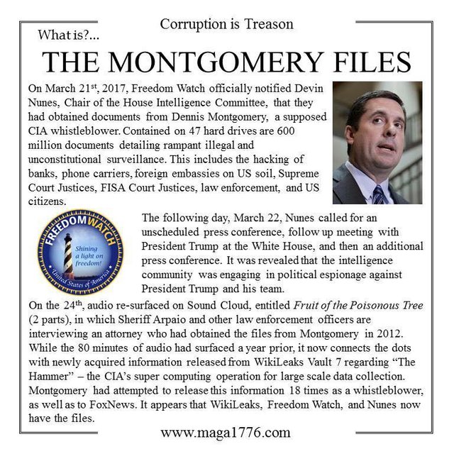 Montgomery Files.jpg