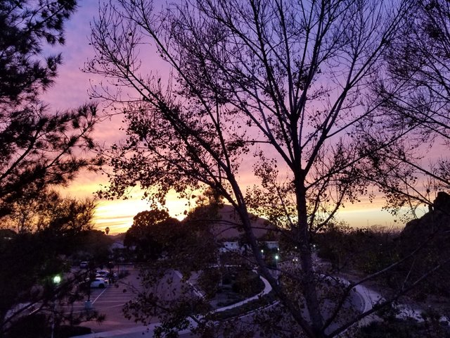 20171112_170513.jpg