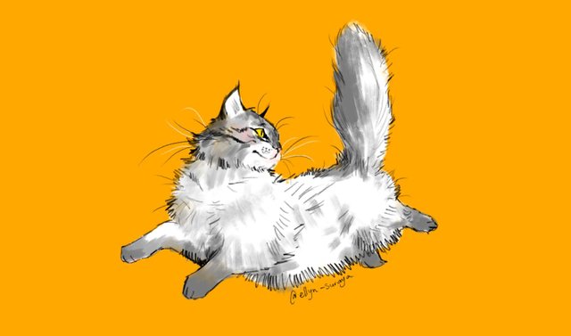 Daily Cat Drawings_8.jpg