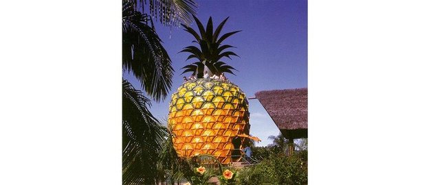 big pineapple.jpg