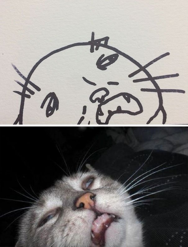 funny-poorly-drawn-cats-3-59705e6a419cb__605 (1).jpg