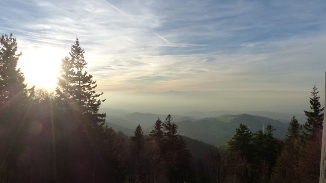 P1000293.JPG