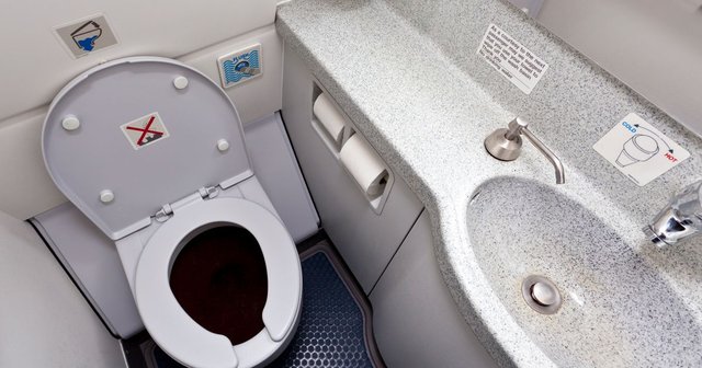 Airplane-Toilet.-PHOTO-Daily-Mirror-UK.jpg