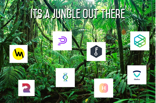 ico-jungle.png