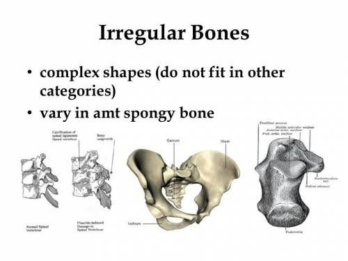 26652-02a44c-slide-7-500x375.jpg