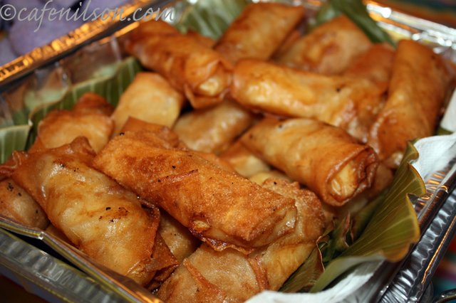 appleturon1.jpg