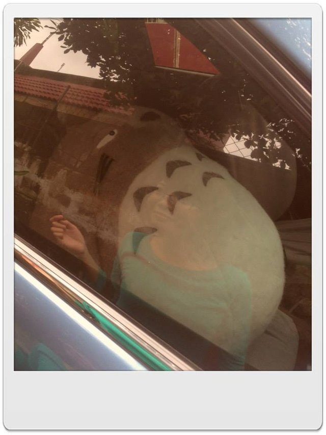 totoro.jpg