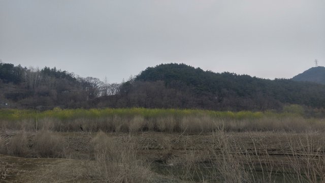 20180401_071335_HDR.jpg