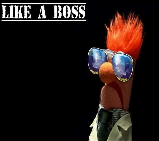 d28bd00d3f22bfc6abb4d0210459d520--the-muppets-beaker-muppets.jpg