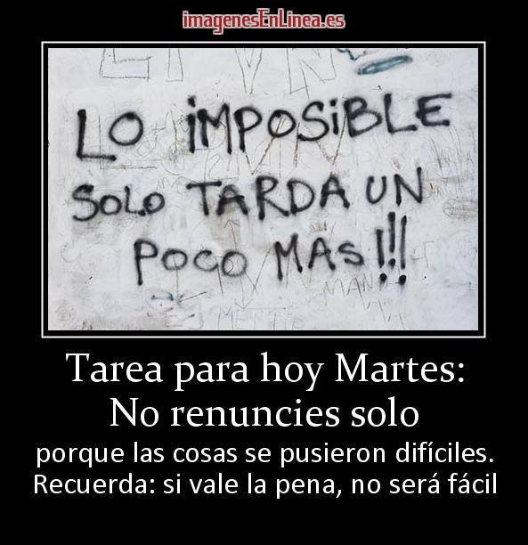 7507_tarea-para-hoy-martes-no-renuncies-solo.jpg