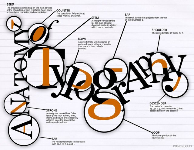 anatomy-of-typography_52335b171ee8e.jpg