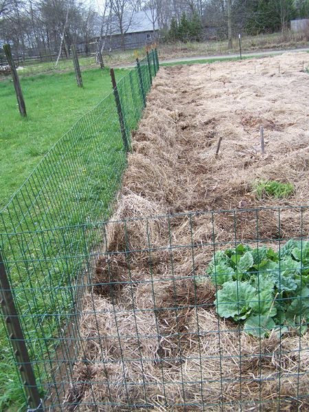 Big garden - fencing finished1 crop May 2018.jpg