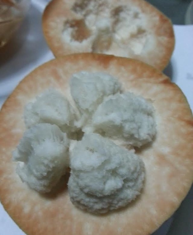 santol.jpg