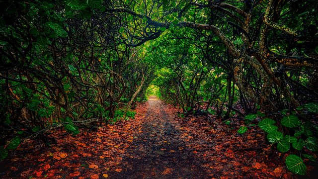 Jupiter Island, Florida 1920x1080.jpg