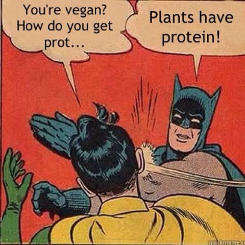 Batman-meme-protein.jpg