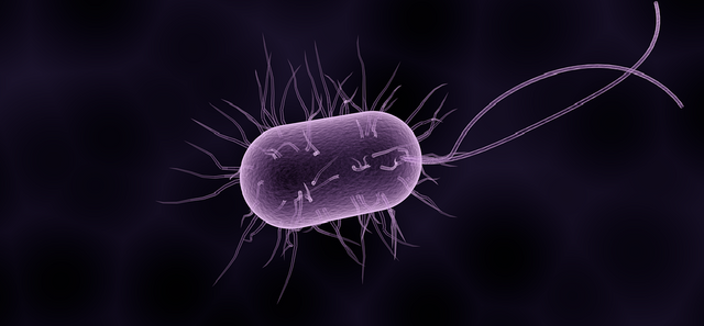 bacteria-1832824_960_720.png