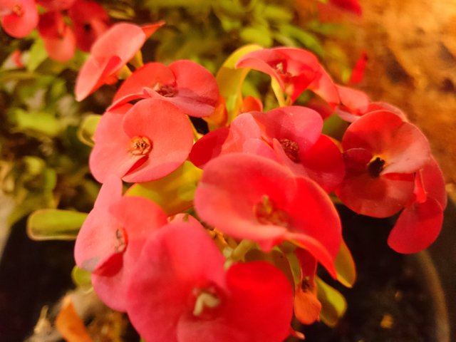 DSC_0821-01.jpeg
