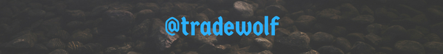 footer-tradewolf.png