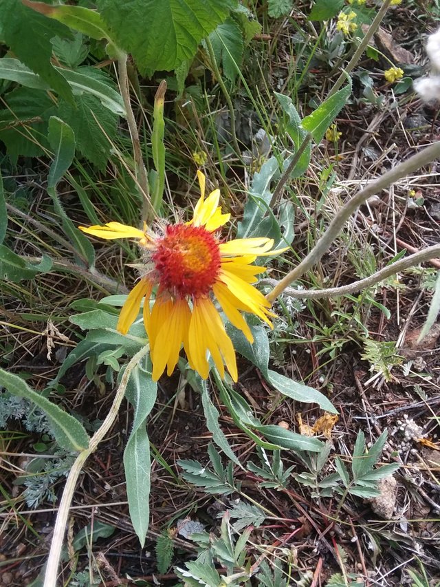 20170722_100646.jpg