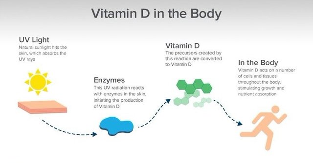 vitamin-d-in-the-body-infographic-v2-700xh_edited_edited.jpg