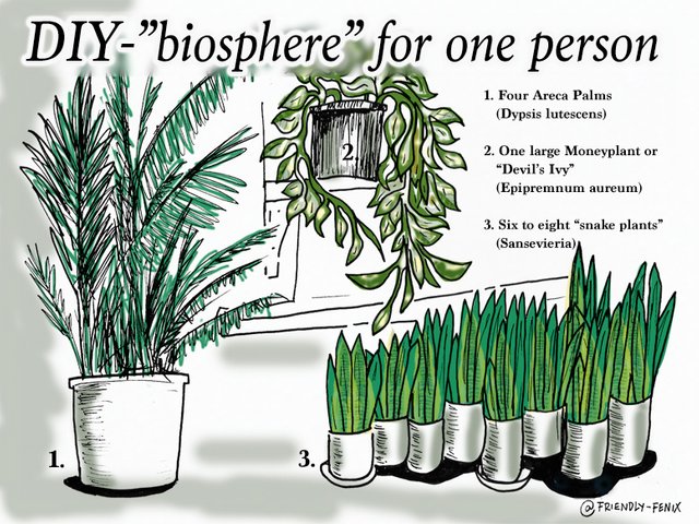 one-person-plant-biosphere.jpg