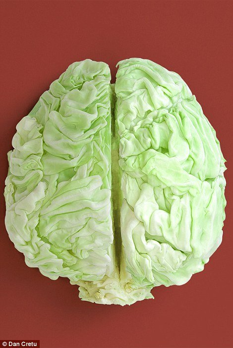 29EBBE0B00000578-3138979-His_quirky_images_have_seen_him_attract_over_100_000_Tumblr_foll-a-34_1435590099510.jpg