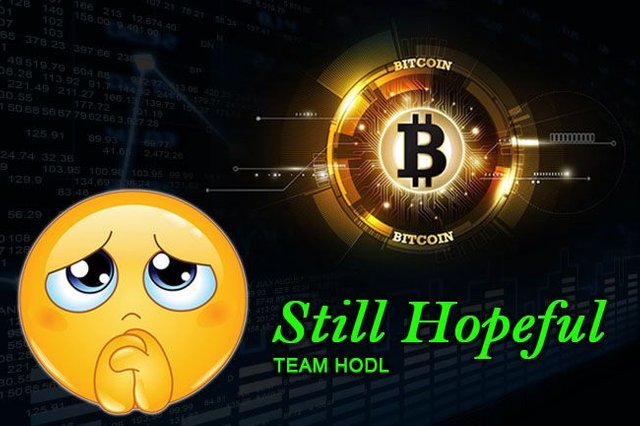 hodl.jpg