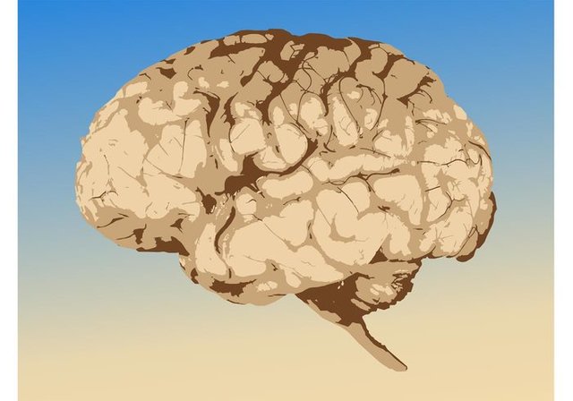 vector-brain-graphics.jpg