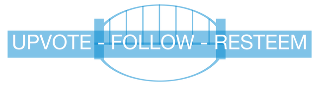 Tyne Bridge Footer.png