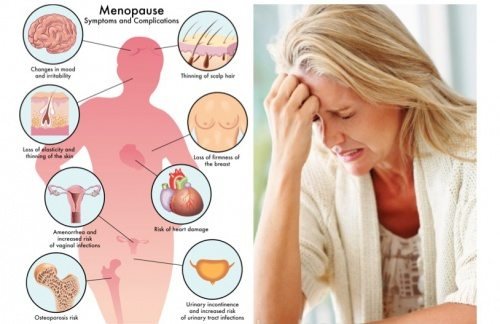 7-Menopause-Diets-Do’s-And-Don’ts.jpg