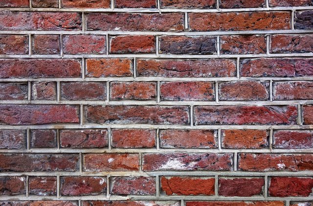 brick-wall-3093330_1920.jpg