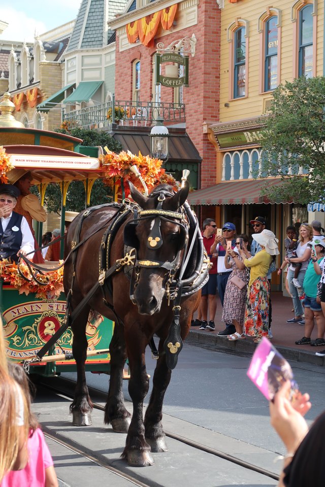 Logo fall horse Magic Kingdom theme park at Walt Disney World Resort September 2017.JPG