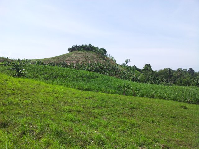 hill.jpg