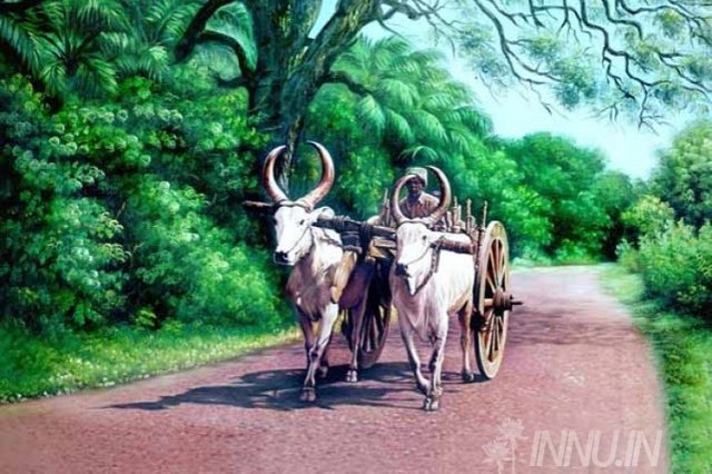 10361_BG_S22_-_Old_man_riding_bullock_cart.jpg