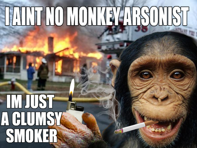 monkey.png