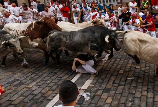 pamplona-running-bulls.jpg