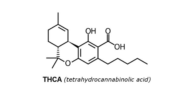 top-10-cannabinoids-and-what-they-do-thca.jpg