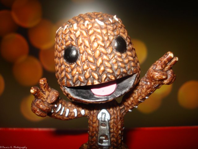 DSC08958-sackboy-littlebigplanet-1.jpg