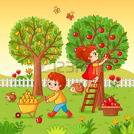 85549182-boy-and-girl-collect-fruit-harvest-vector-illustration-with-children-that-collect-apples-and-pears-i.jpg