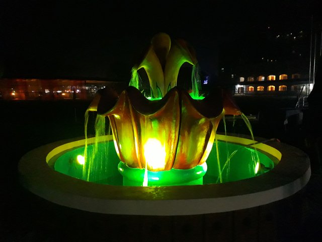 20180115_193316.jpg