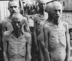 lagarul-de-exterminare-de-la-auschwitz.jpg