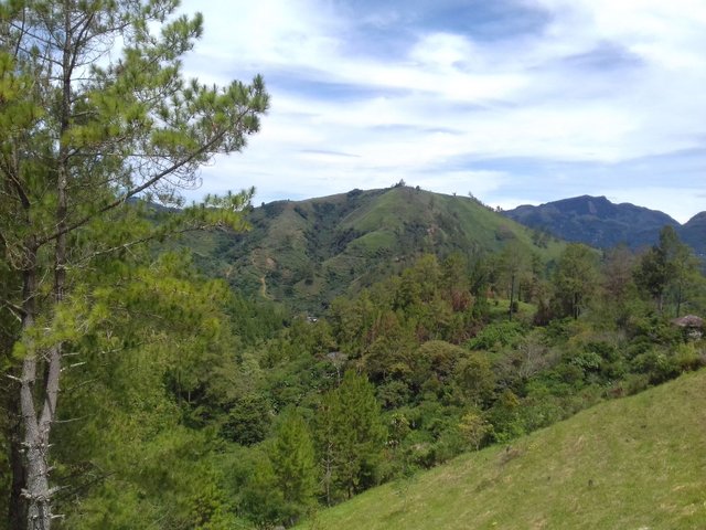 20170512_110220.jpg