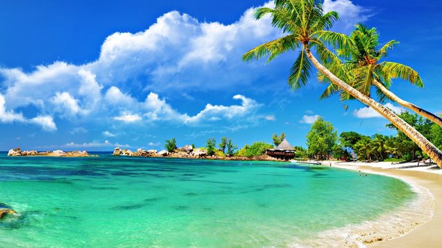 surf-shack-radio-beach-music-best-party-tropical-wallpapers-desktop-background-high-quality-resolution-1280x720.jpg