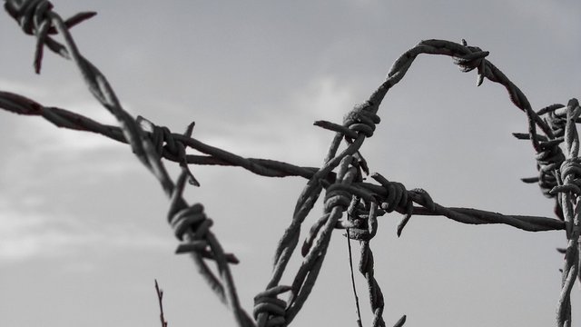 barbed-wire-censorship.jpg