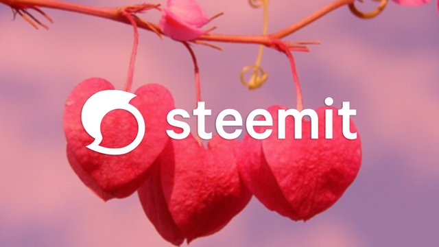 Steemit-Love-5.jpg