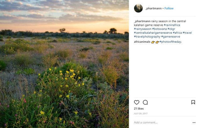 Central Kalahari Game Reserve.JPG