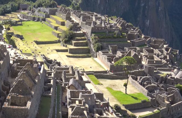 17 Machu Picchu Lama.JPG