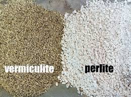 Perlite and Vermiculite.jpg