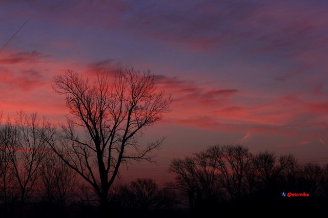 pink sunrise dawn SR15-07.JPG