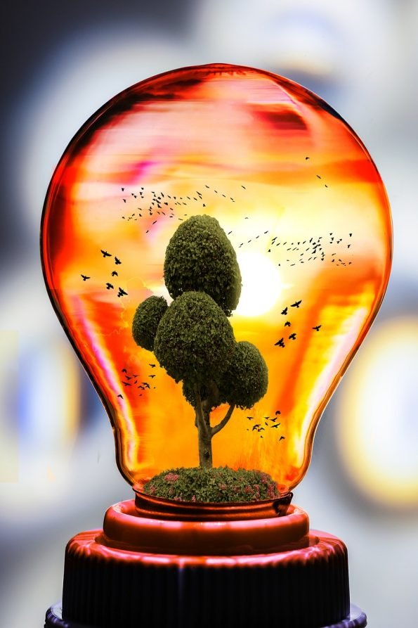 eco_bot-595x893.jpg